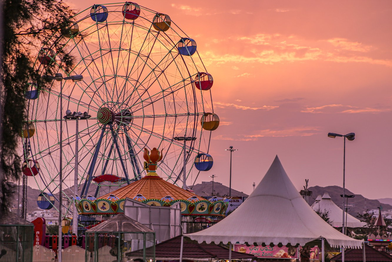 Ferris Wheel in Amusement Park